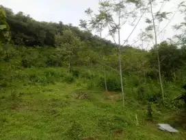 Tanah Gudang dan Pabrik