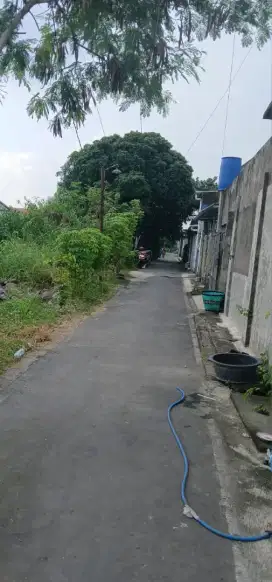 Lahan pekarangan kartasura