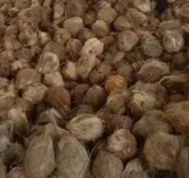 Kelapa tua Industri