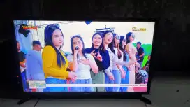 Tv led 24in merk polytron normal mal