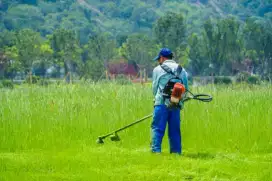 Jasa potong rumput kota bandung