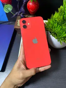 IPHONE 12 INTERNAL 128GB 
INTER ALL OPERATOR

FACE ID ON
TRUTUNE ON
BH