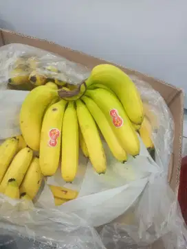 Dibutuhkan segera!! Pria untuk di toko buah