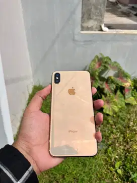 IPHONE XS MAX 256 GB LLA