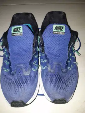 Nike zoom pegasus 33