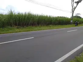 Tanah strategis, jalur wisata ke pantai selatan jawa. Luas jalan 13 m.