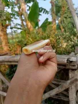 PIPA ROKOK IGADUYUNG
