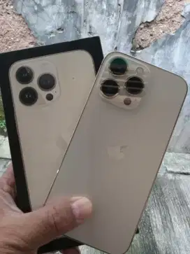 Iphone 13 Pro inter 512 allprovider