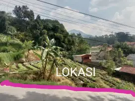 Dijual-tanah dengan luas kurang lebih 60-tumbak/840m².lokasi ciwidey.