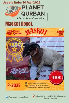 Jual Hewan QURBAN Terbaik Sesuai Syariat