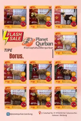 Jual Hewan QURBAN Terbaik Sesuai Syariat Sebandung Taya