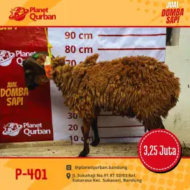 Jual hewan qurban siap antar se-Bandung raya
