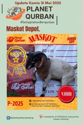 Jual hewan qurban domba Garut siap antar se-Bandung Raya