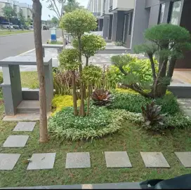 jasa pembuatan taman rumput