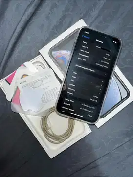 Iphone Xr Terbagus