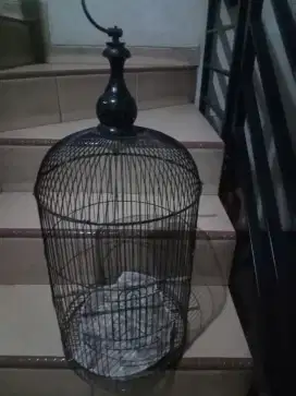 Sangkar burng Lovebird