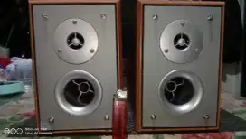 PHILIPS SPEAKER PASIP 5,5 INC