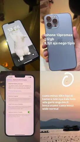 Iphone 13 pro max 512gb (ex ibox)