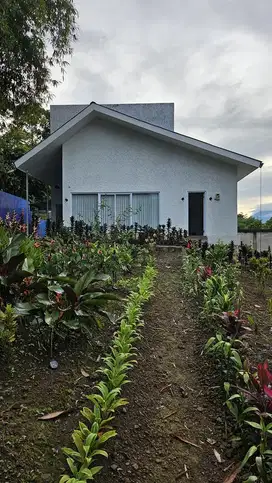 Dijual cepat Villa di Gunung Gede