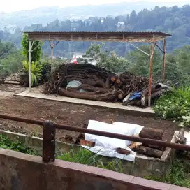 Kayu Aprika rambutan Potongan