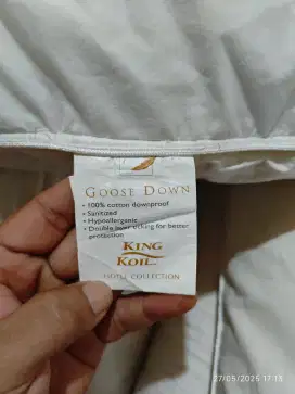 Bantal king koil ex hotel  5 size 50x70