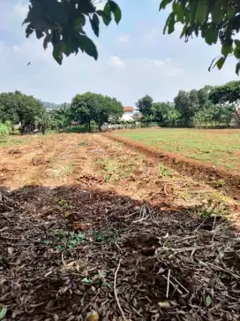Di Jual Tanah di Sentul