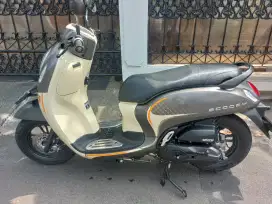 Scoopy fashion 2024