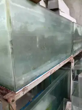 Aquarium besar ukuran 60x60x120