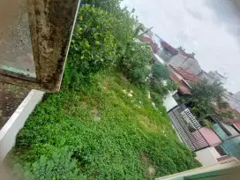 Jasa babat rumput