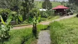 Sawah 2100 m2 pinggir Sungai