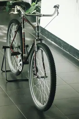 Sepeda custom commuter bike