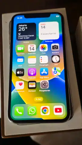 Iphone X 256gb ibox