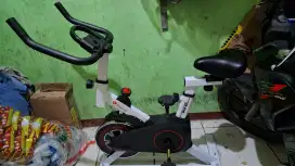 Sepeda statis spin bike elit 1