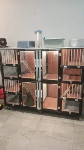 Kandang kucing 4 ruang