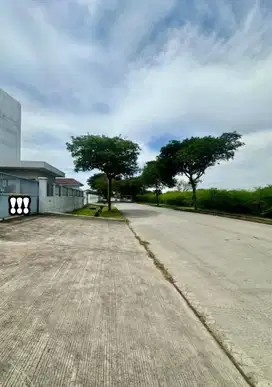 Gudang siap pakai di delta silicon