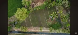 DIJUAL SEBIDANG TANAH LUAS 2.329M² ,LOKASI PONJONG GUNUNGKIDUL