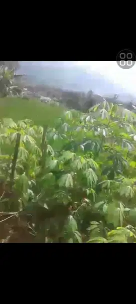 dijual sawah di bumiwangi ciparay dekat sman 1 dekat rs muhammadiyah