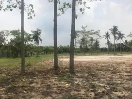 Dijual Tanah Kuala Tanjung Sudah Keliling Pagar