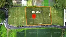 15-Are Leasehold Land Near Bali Beach Glamping – Stunning Rice Field