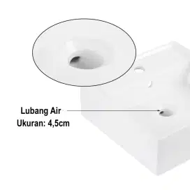 wastafel dinding / daun meja