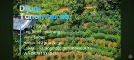 Dijual Tanah L. 1950m², SHMP, Harga 140 juta nego