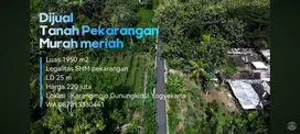 Tanah murah luas 1950m² Harga 220 Nego Lokasi. Karangmojo gunungkidul