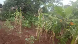 Dijual 2 tanah kavling di Garut, Cibatu, Padasuka