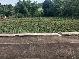 TANAH JUMAPOLO KARANGANYAR