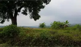 Tanah di Trawas, Komplek Villa Duta Garden