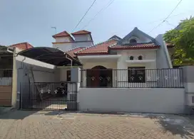 Turun harga, ploso timur, jarang ada