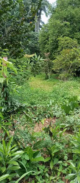 dijual tanah di jln  Raya  Pajajaran Bogor kota 5.063m  shm