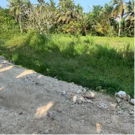 Tanah di Sewakan Di Pantai Kedungu 5 menit ke Pantai