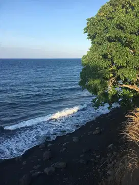 Tanah Murah Los Pantai di bawah Gunung Tambora