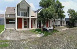 Rumah 1 lantai luas Tanah Terbesar properti eksklusif di Zian Istana